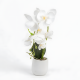 Artificial Plant